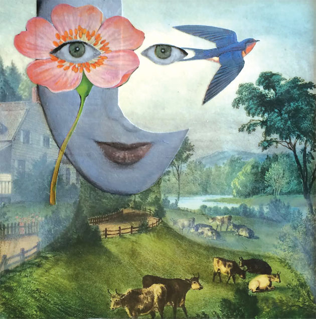 Art Forum: Pasture II by Suzanne Sbarge 28 July 2015