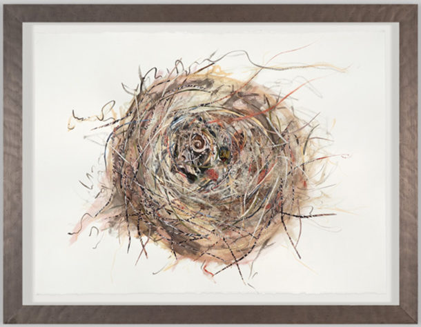 Chantal Maltais Oei - The First Nest