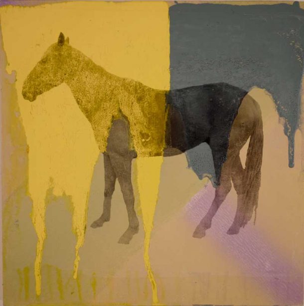 Holly Roberts Roberts - Horse with Yellow and Blue