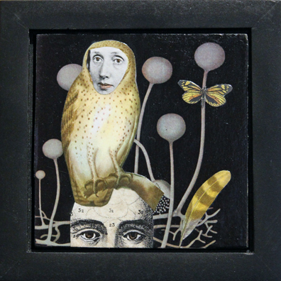 Suzanne Sbarge - Owl
