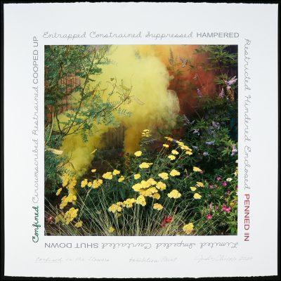 Judy Chicago - Garden Smoke:
Confined in the Flowers
Boxed set of 12 prints