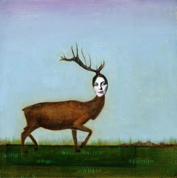 Suzanne Sbarge - Elk