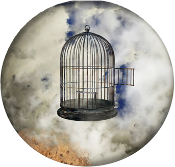 Meridel Rubenstein - Bird Cage with Door Open