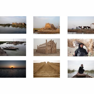 Meridel Rubenstein - From the Marshes