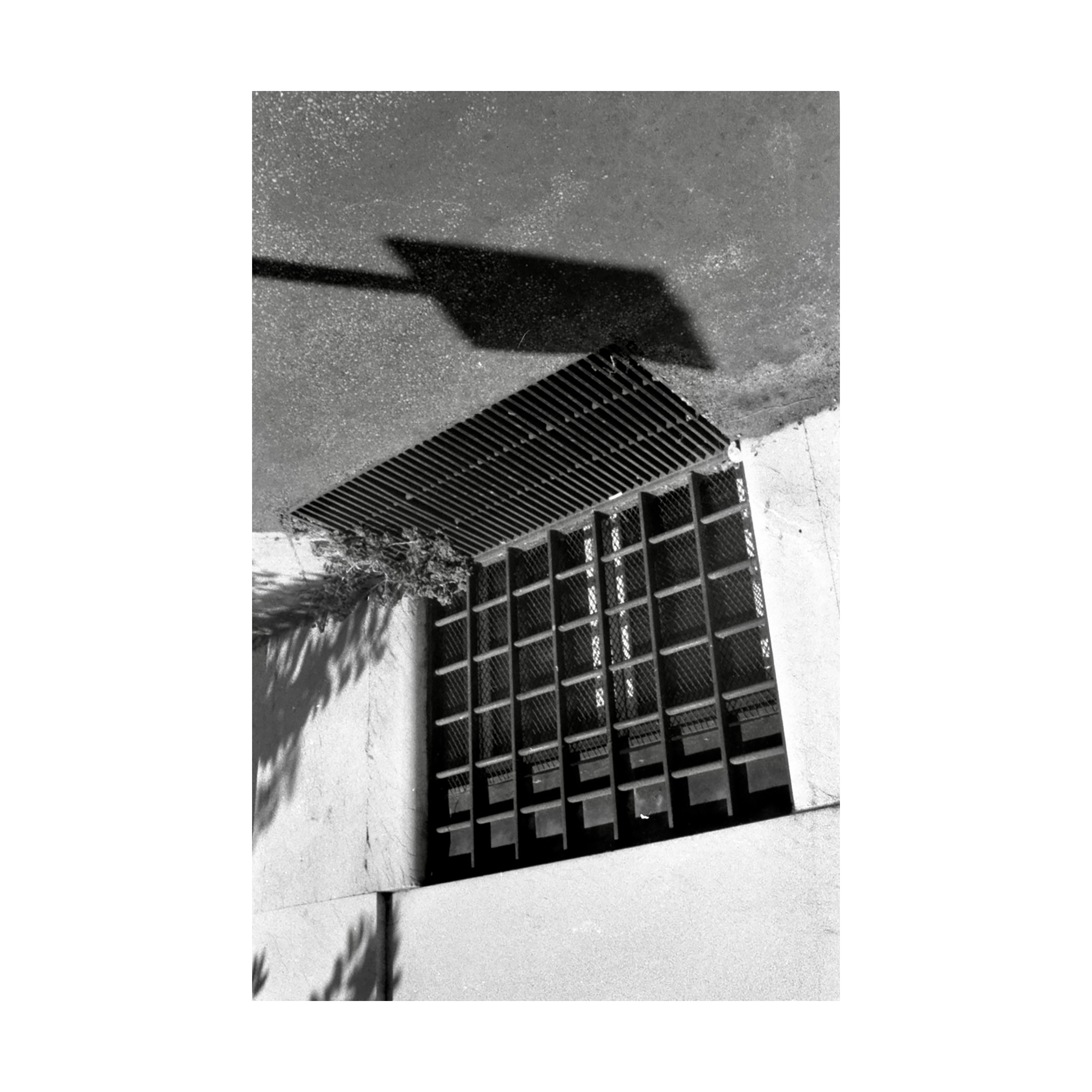 Sophie Carroll - Walk to School, Rome