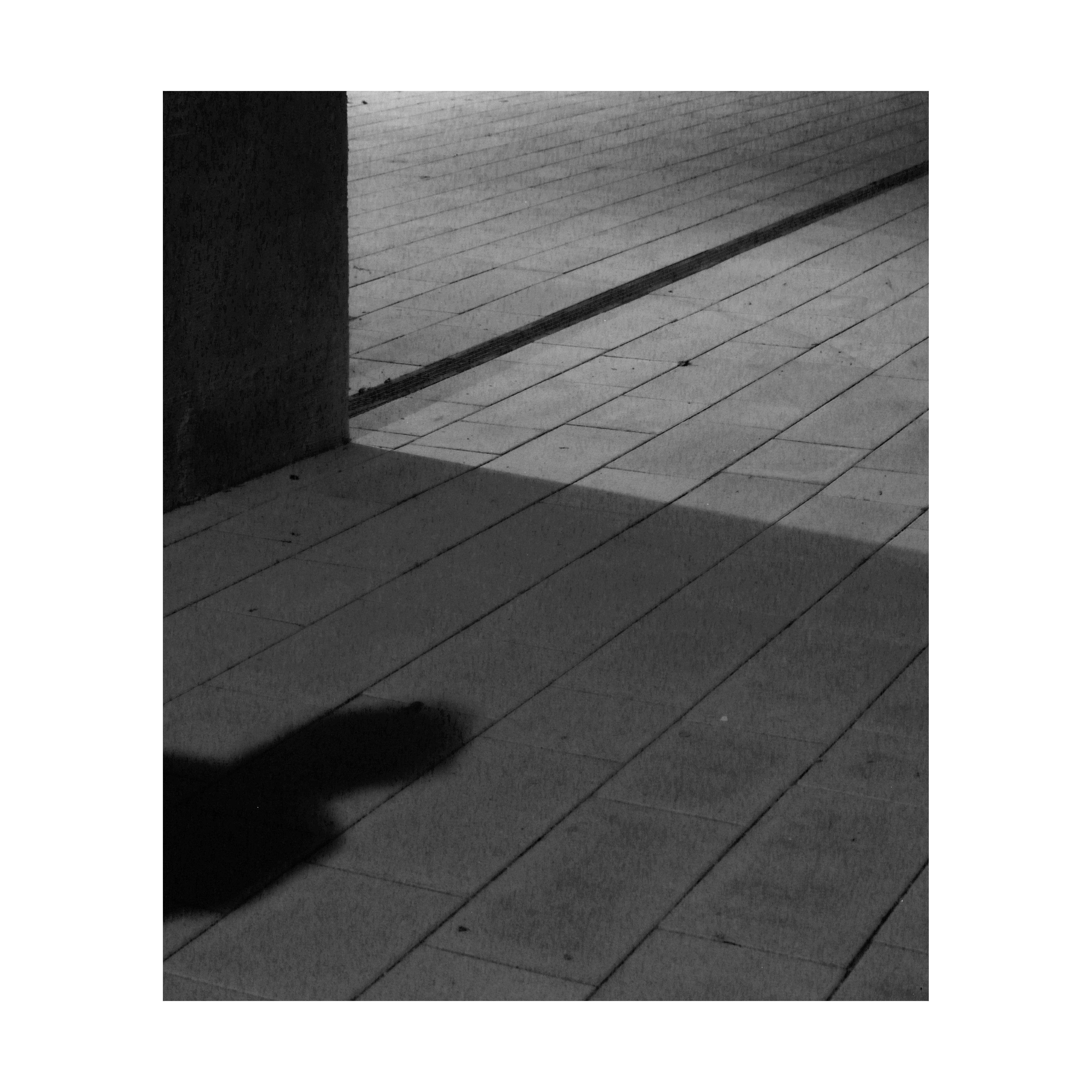 Sophie Carroll - Berlin School at Night no.3 (Skaters Outside)