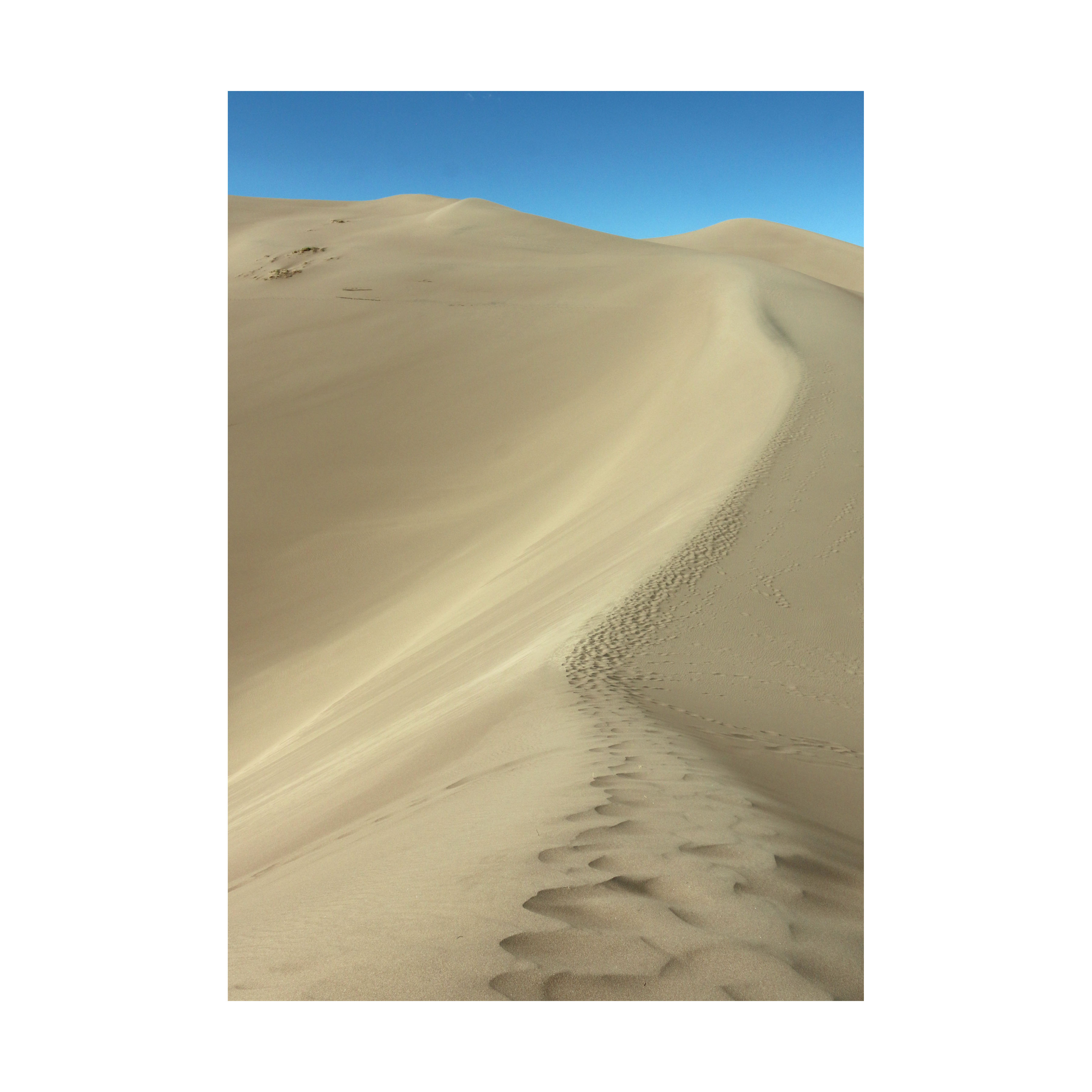 Sophie Carroll - Great Sand Dunes