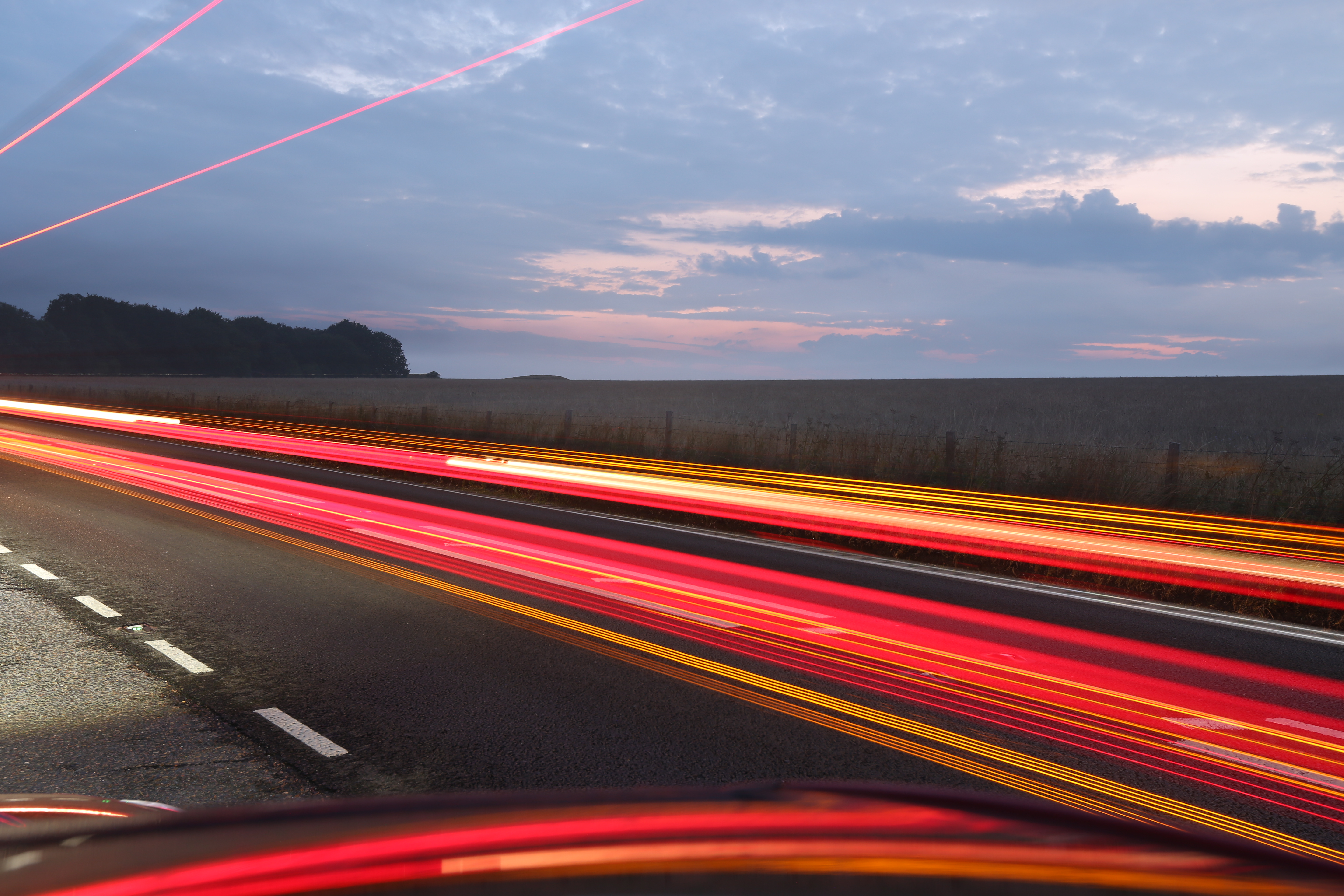 Sophie Carroll - Neon Nature No.2