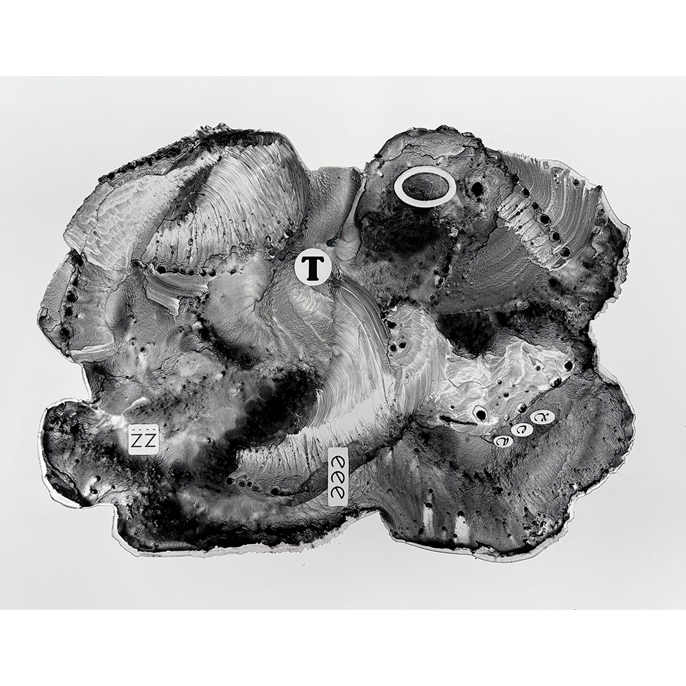 Mokha Laget - CP #209