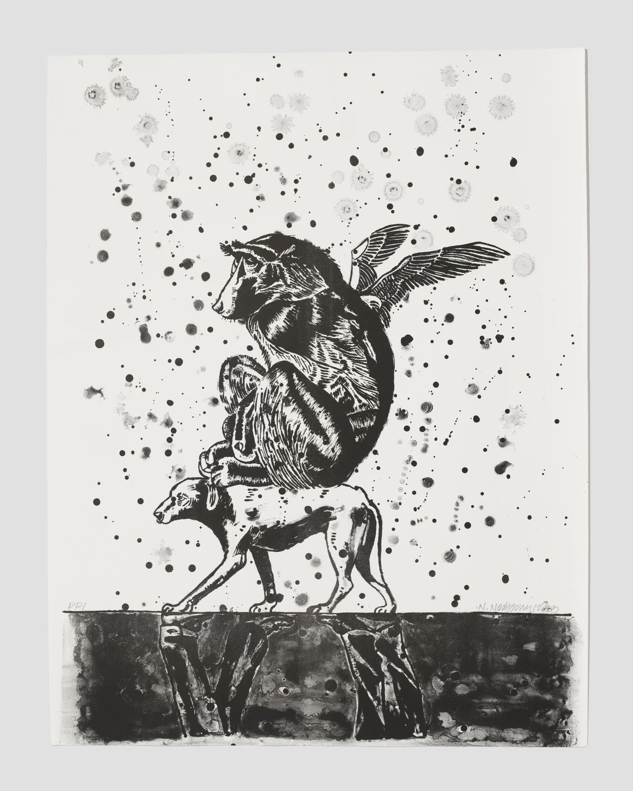 Nicky Nodjoumi - Revealing the Transformation