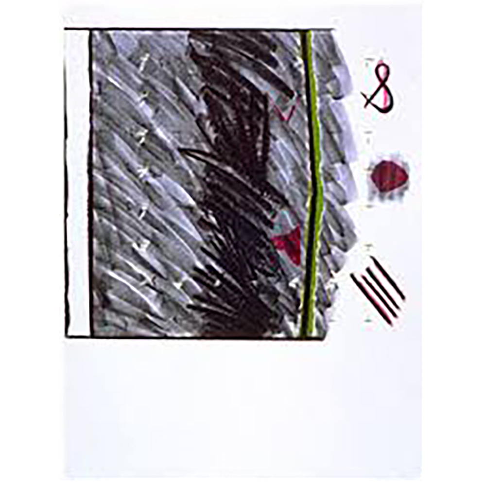 Denise Green - Black and Pink