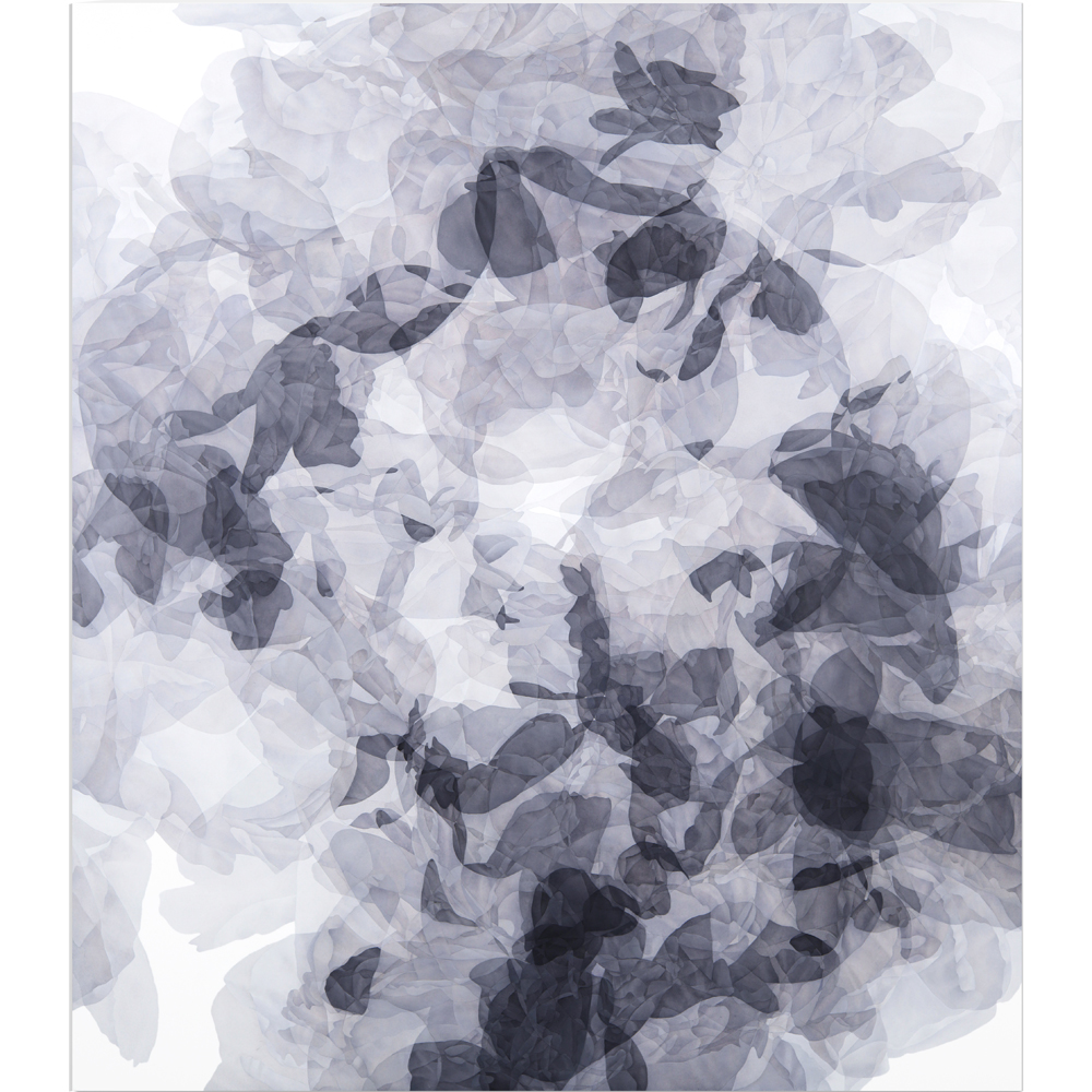 Greg Murr - Field 4f [a collapsing of space, a temporal geography]