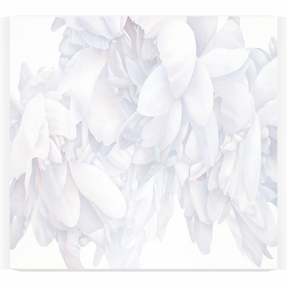 Greg Murr - Material Study 17a