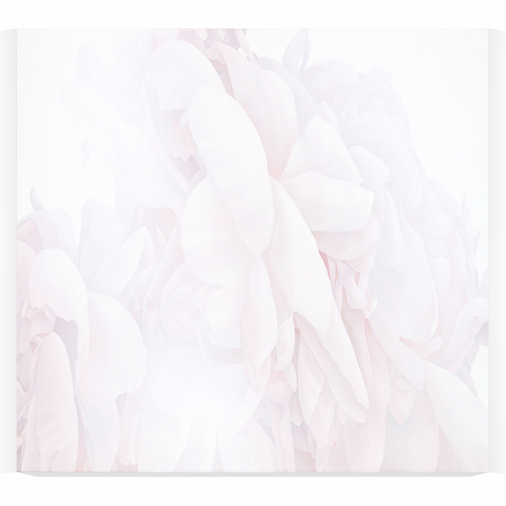 Greg Murr - Material Study 24e Greg Murr - Material Study 24e