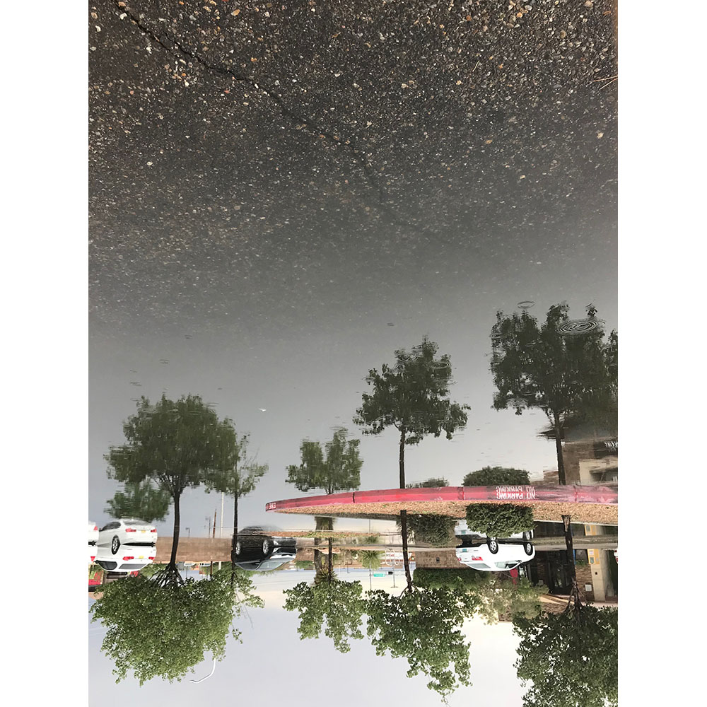 Sophie Carroll - Asphalt Stars