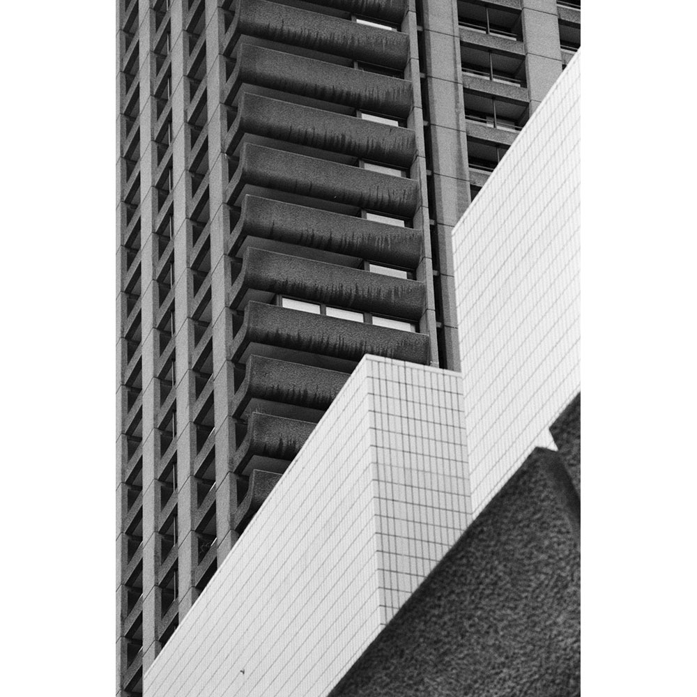 Sophie Carroll - Council