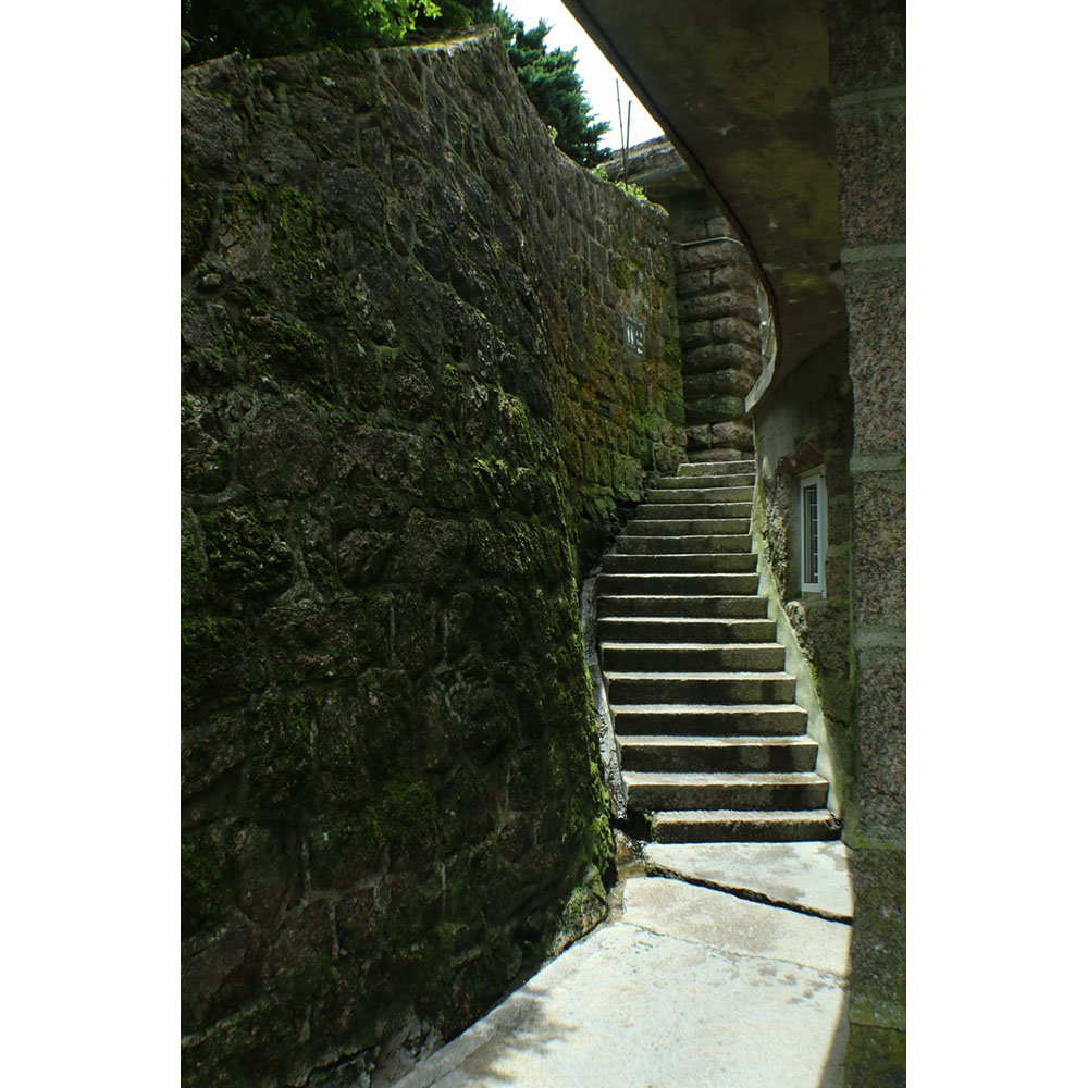 Sophie Carroll - Mt. Huangshan No.2