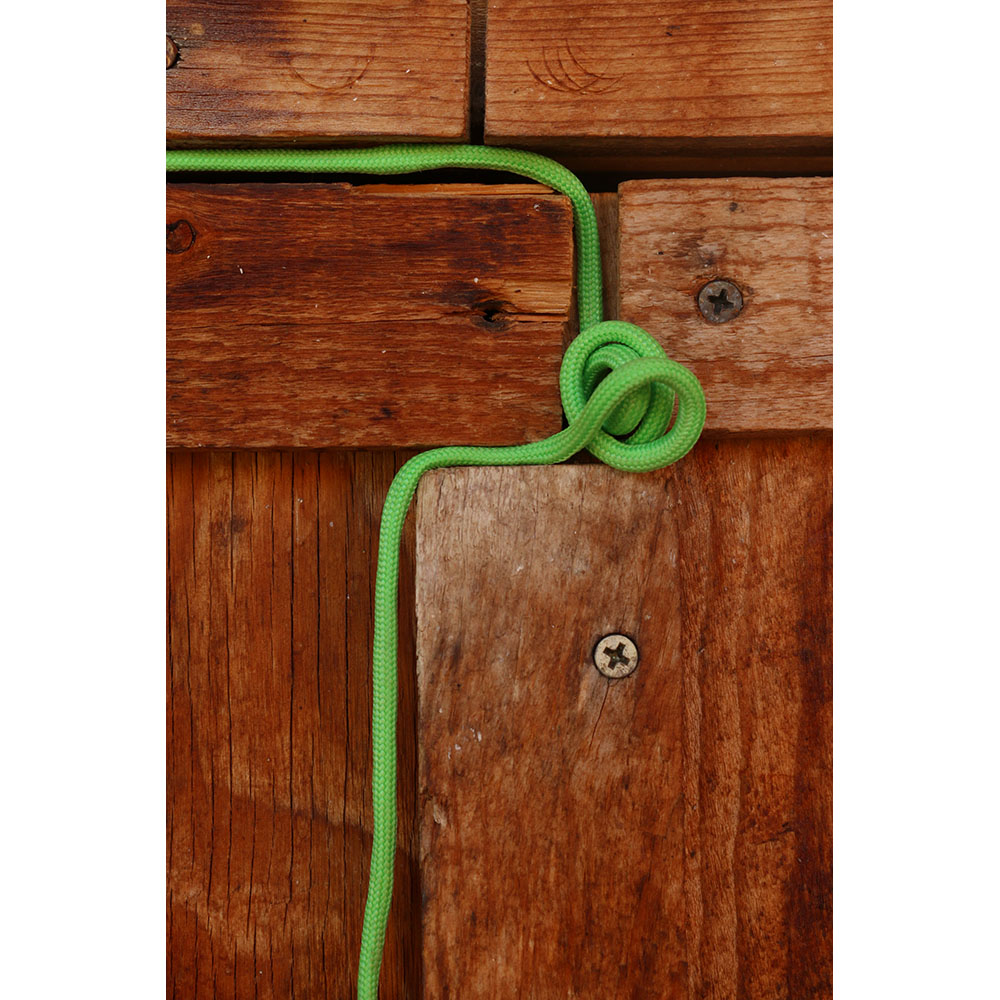 Sophie Carroll - Neon Nature No.1