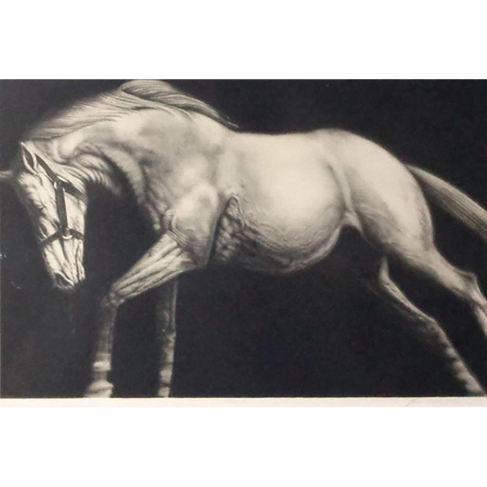 Jospeh Piccillo - Edge Event 1