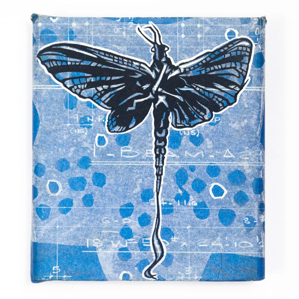 Swoon  - Eidophone 57