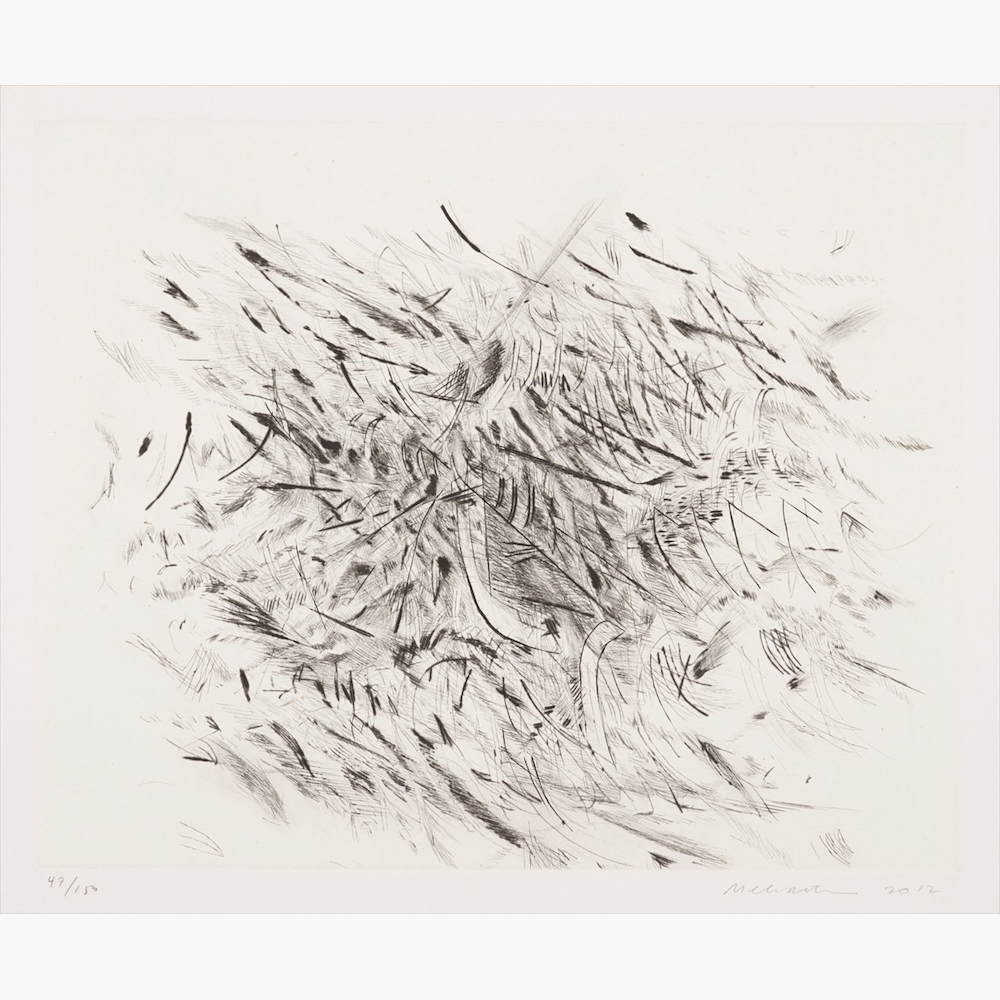 Julie Mehretu - Haka