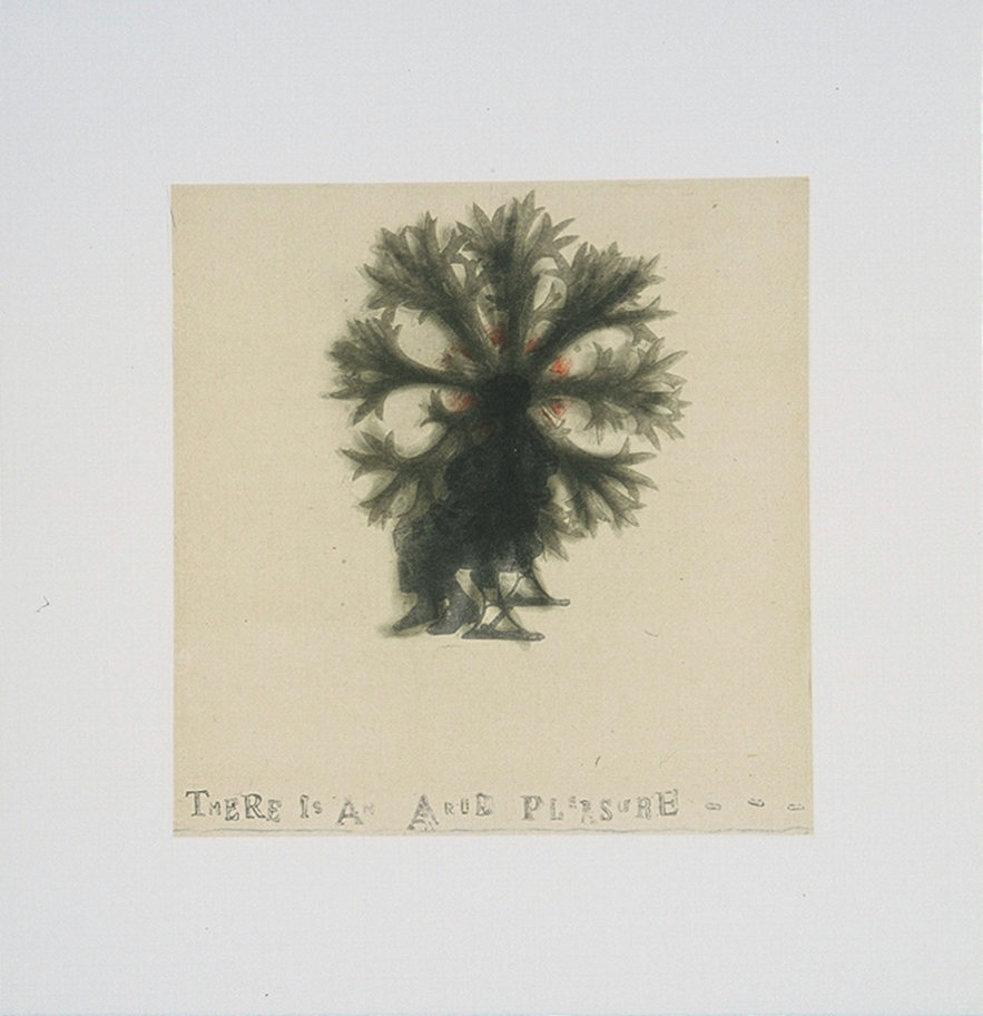 Lesley Dill - Arid Pleasure