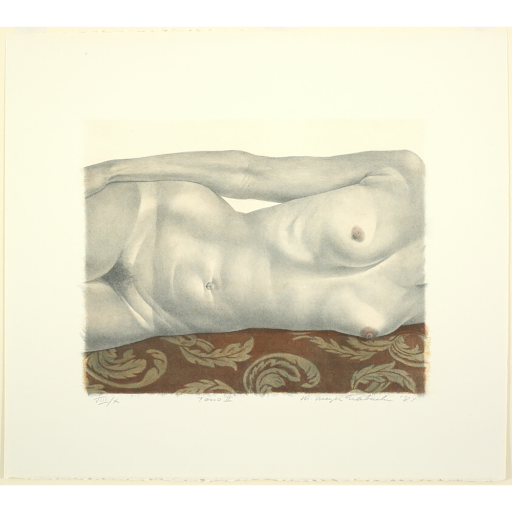 Martha Erlebacher - Reclining Torso II