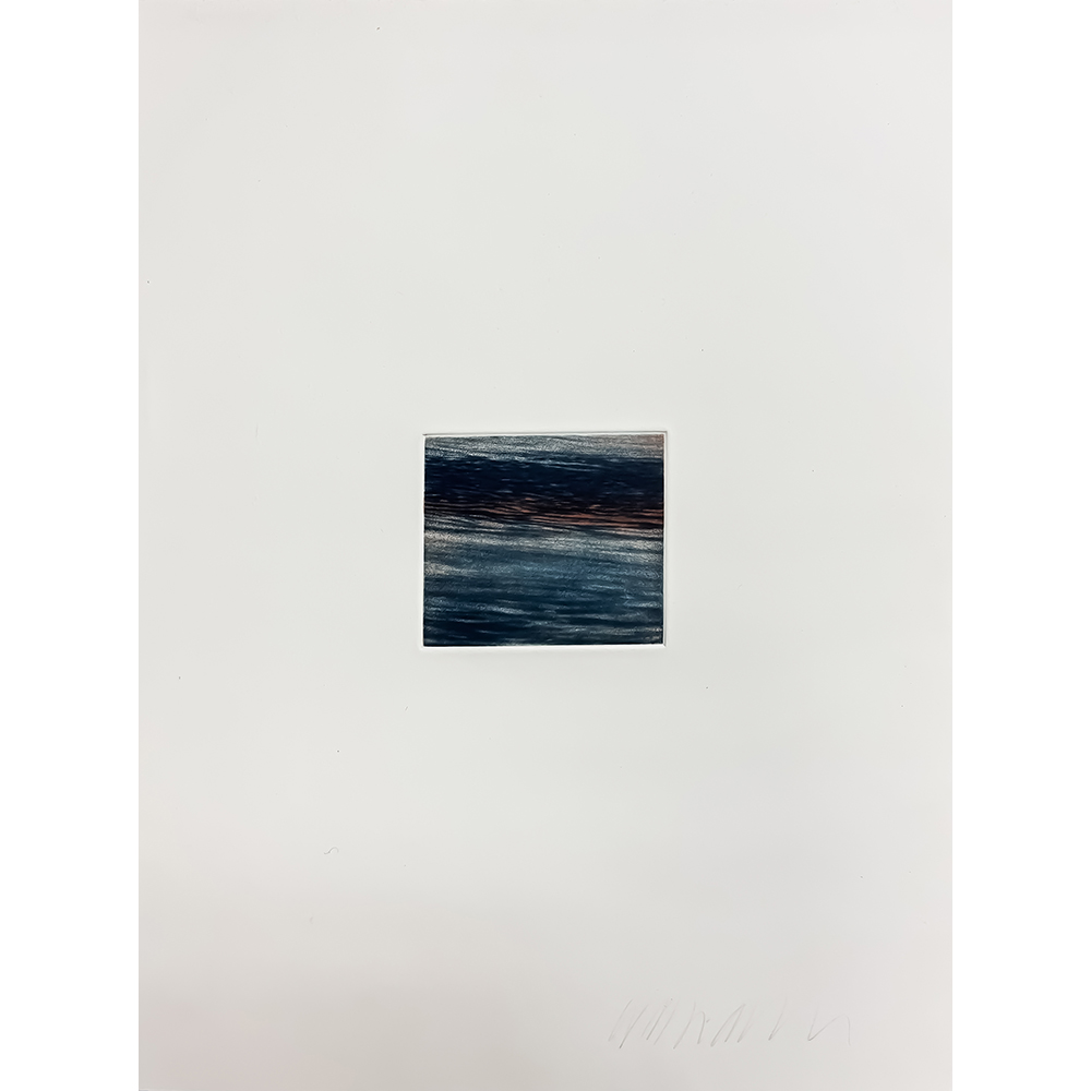 William Allan - Bodega Bay