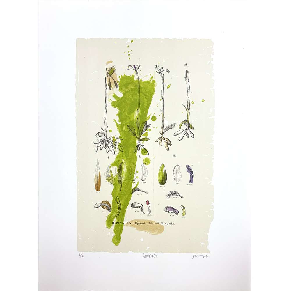 Bob Nugent - Amostra #3