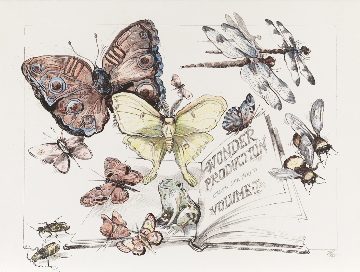 Ellen Lanyon - Wonder Production - Vol. 1
The Bewitched Teacup