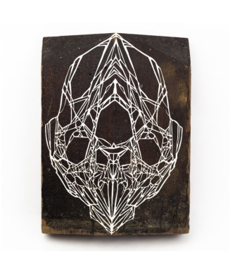 Swoon - Eidophone 68