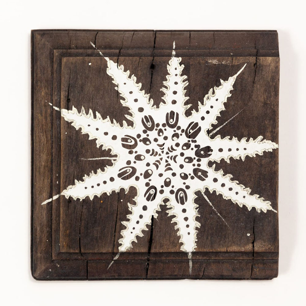 Swoon  - Eidophone 59