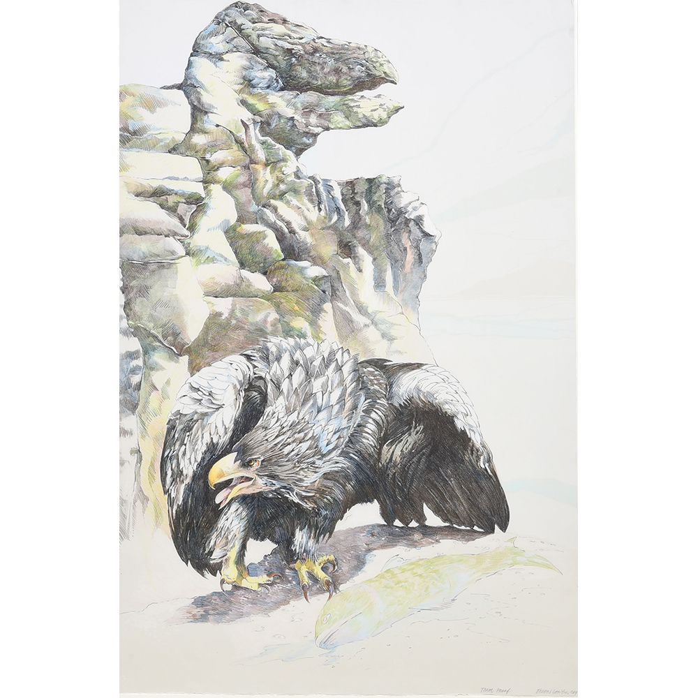 Ellen Lanyon - Eagle Beak