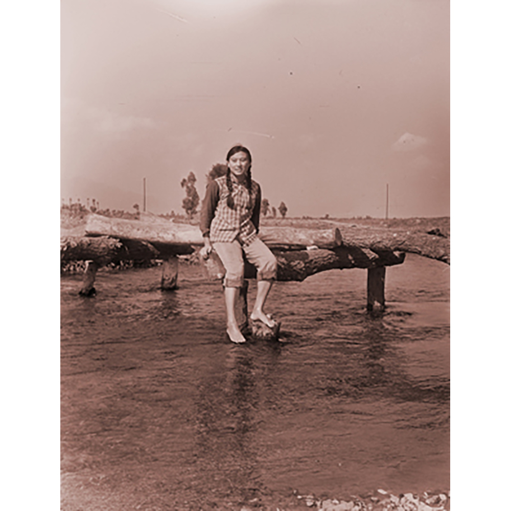 Hung Liu - Village Portrait: Broken Bridge