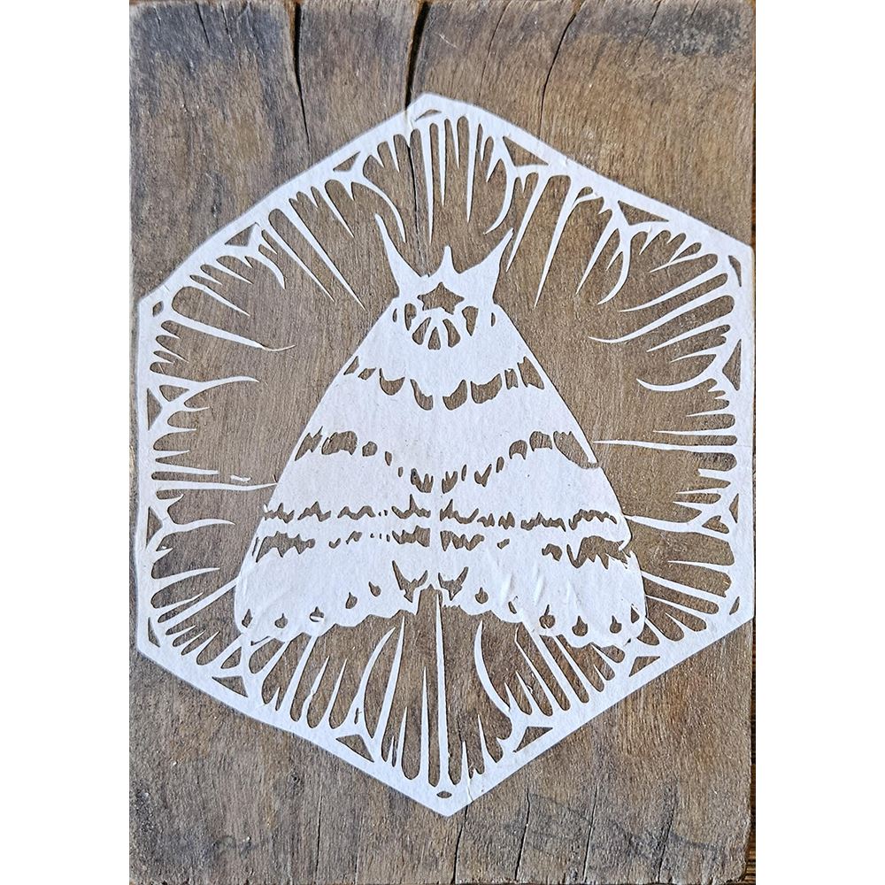 Swoon - Eidophone 49