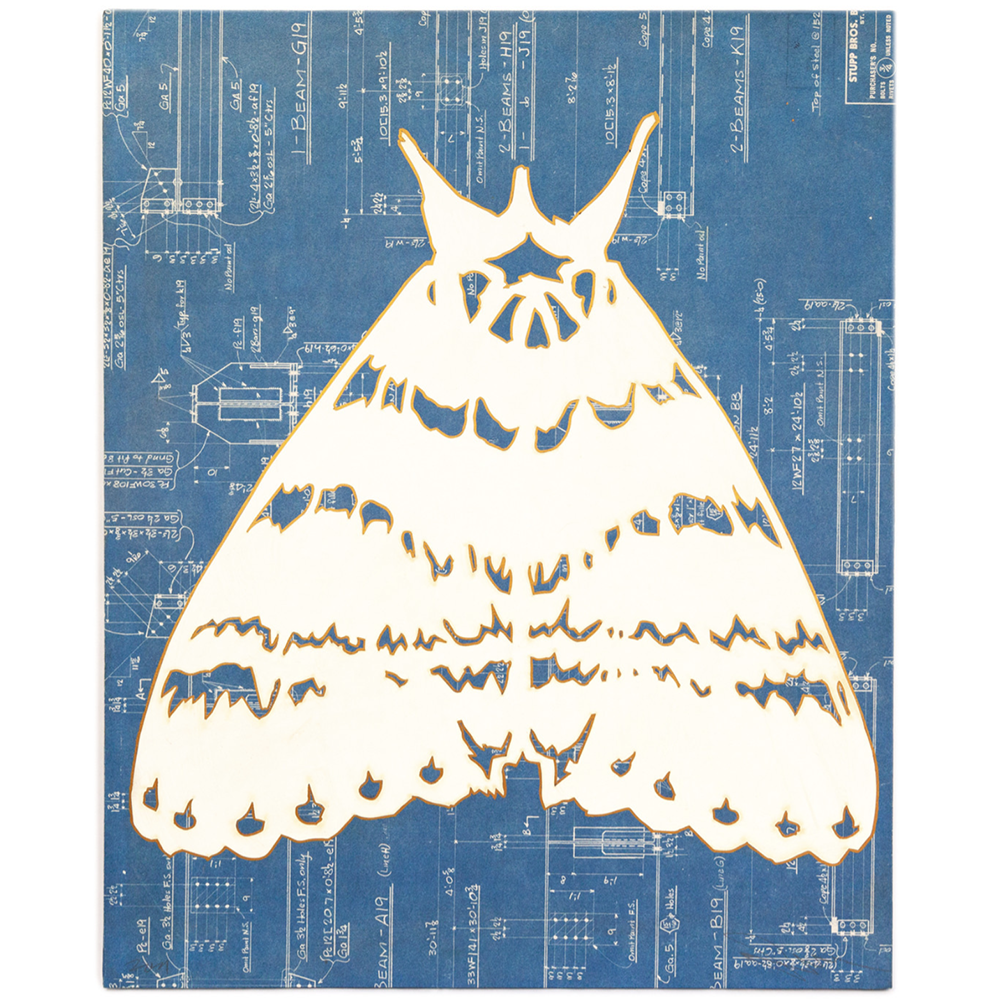 Swoon  - Eidophone 75