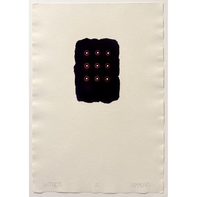 Harmony Hammond - Witness