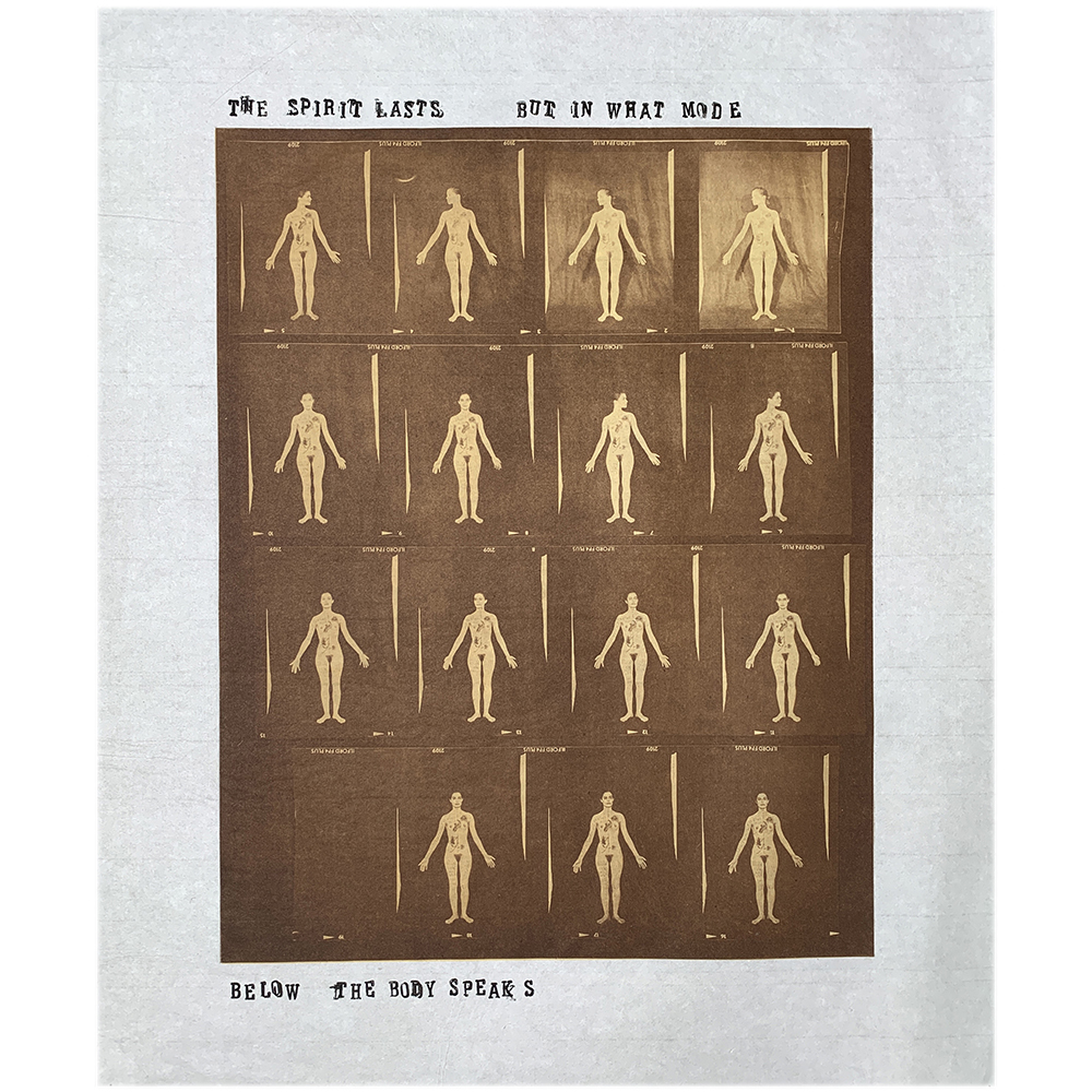 Lesley Dill - Little Women