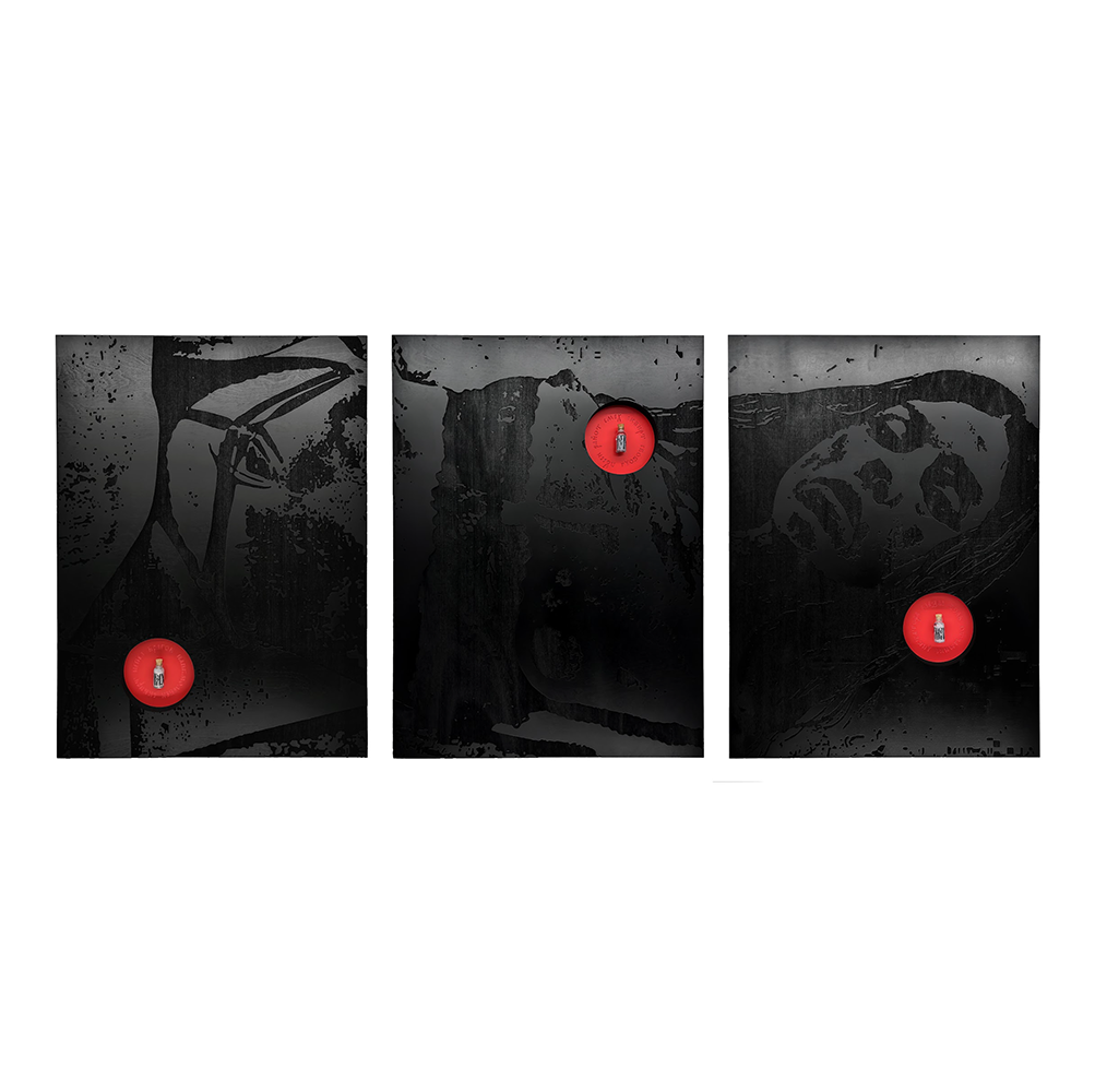 Nadya Tolokonnikova - Witch (Triptych)