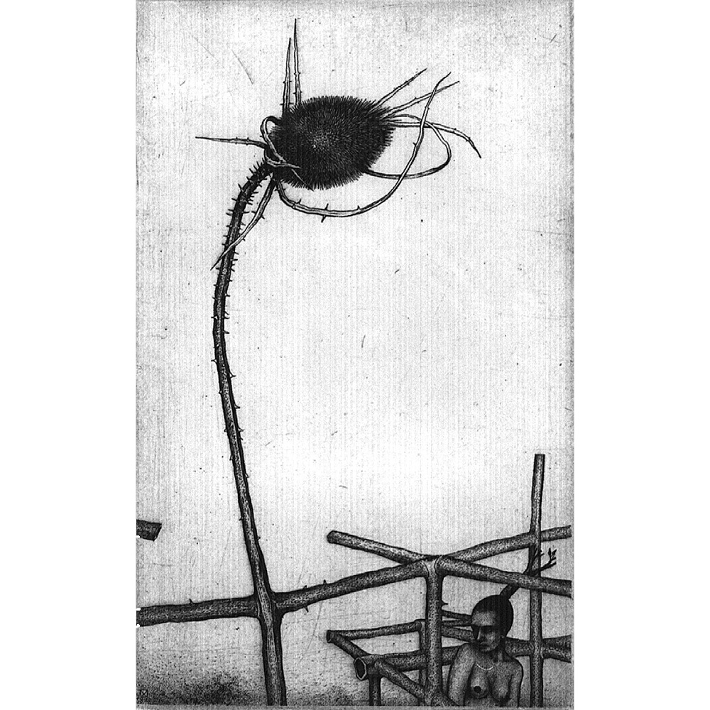 Nele Zirnite - Presentiment Nele Zirnite - Presentiment