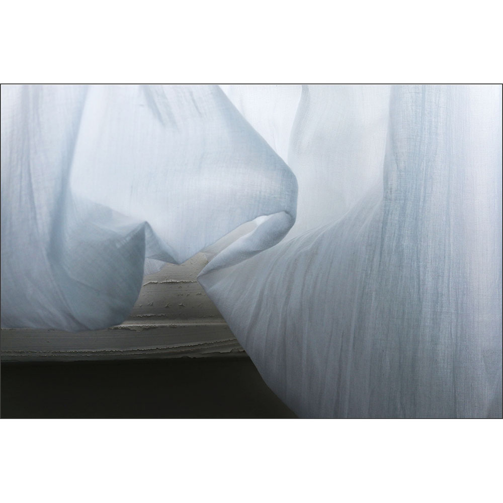 Sophie Carroll - Wind