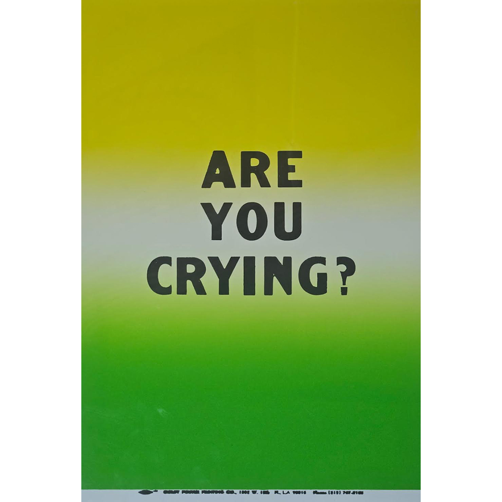 Allen Ruppersberg - Are You Crying? #2