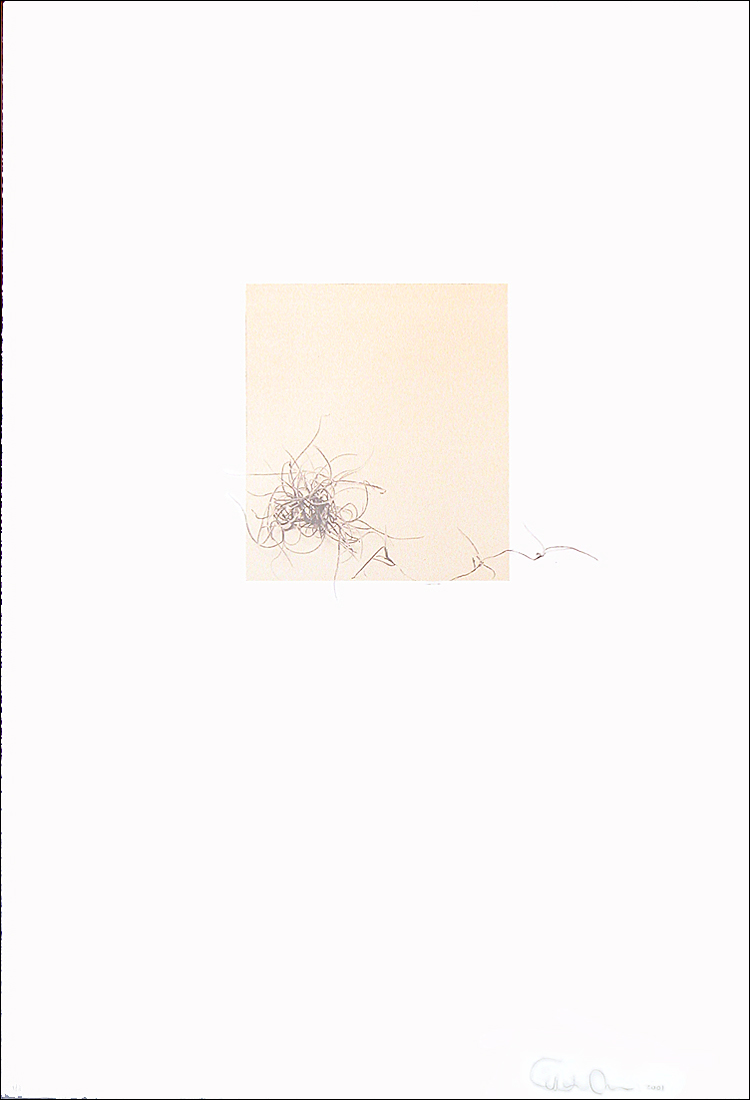 Debra Rubino - Variation No. 1-4