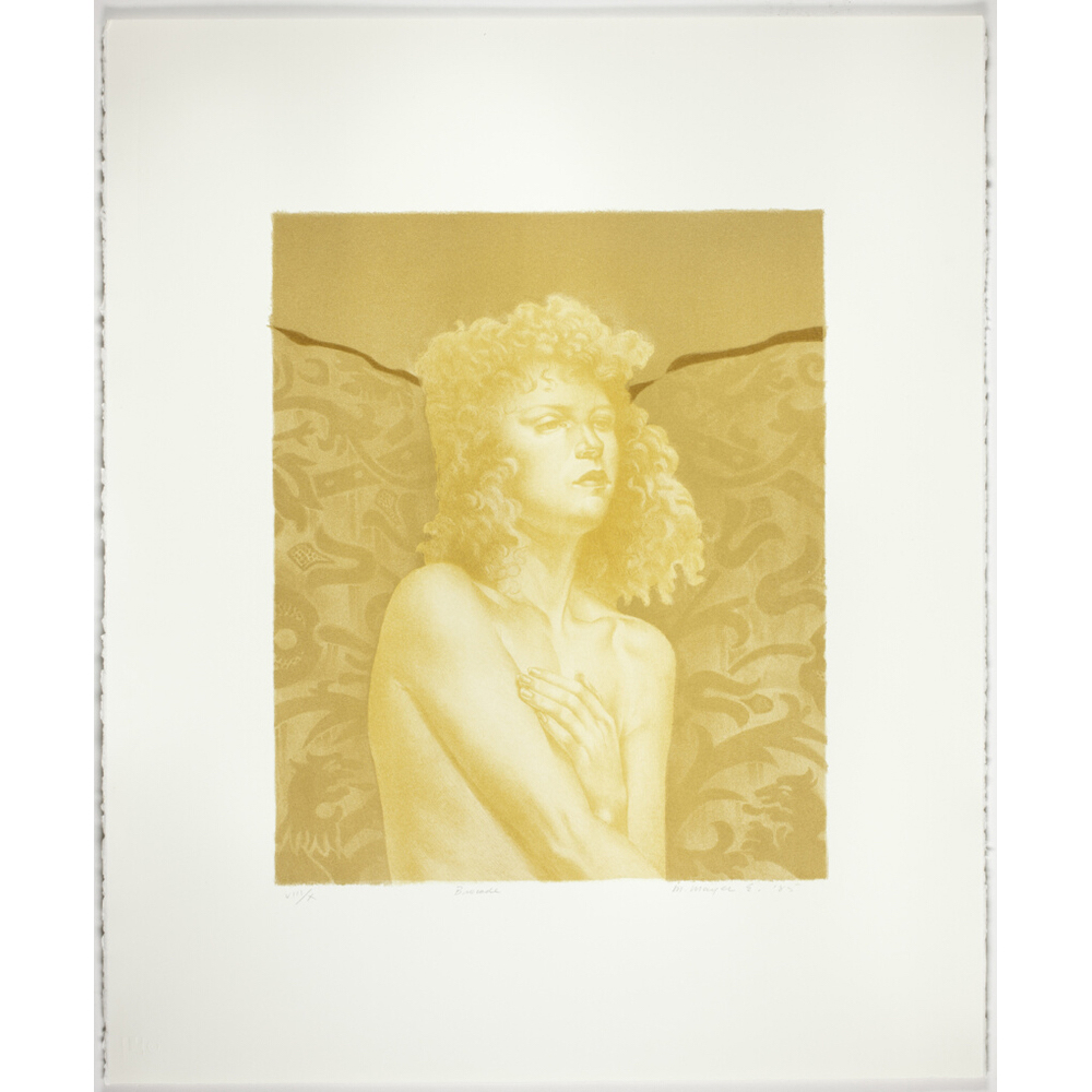 Martha Erlebacher - Brocade