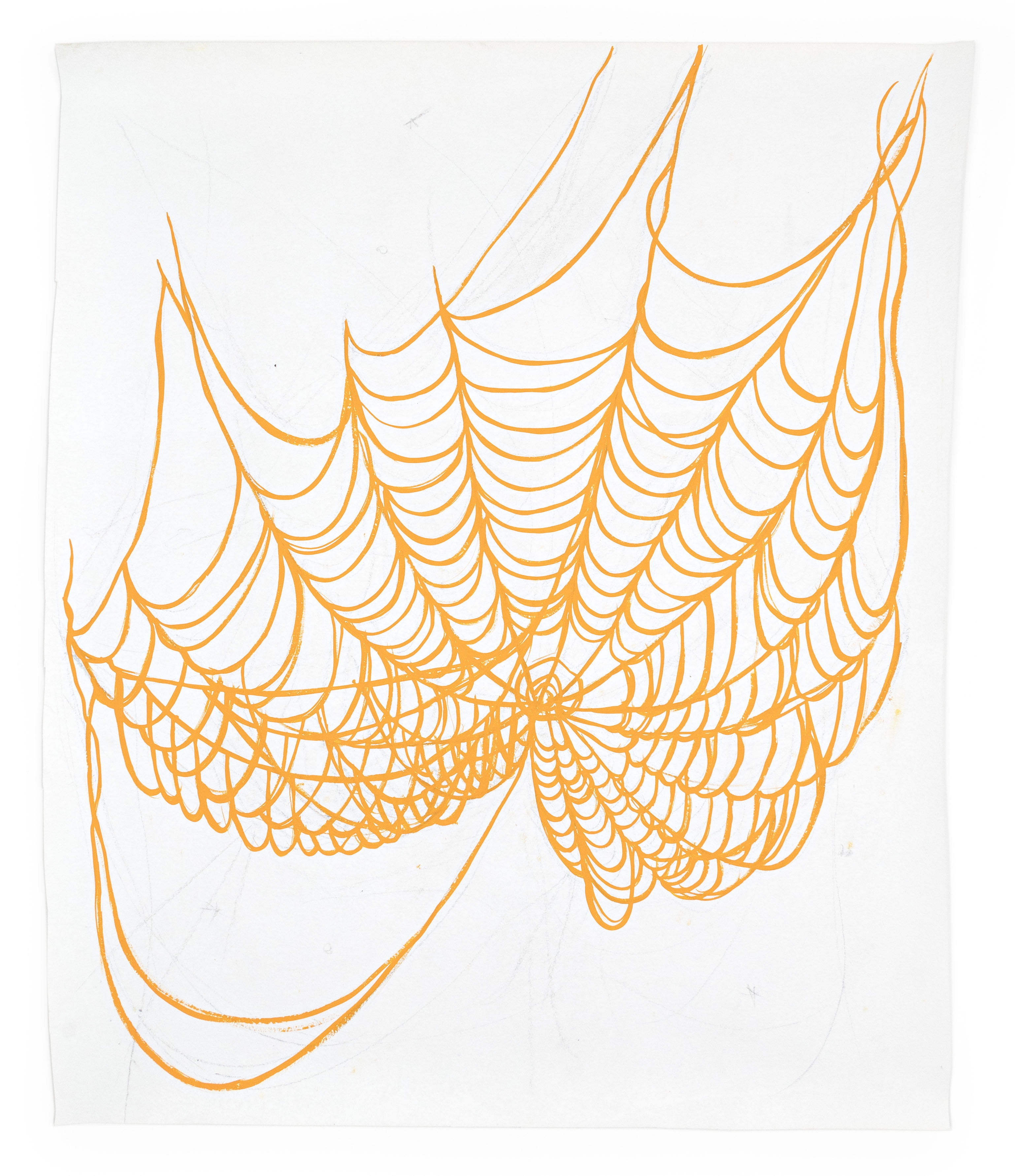 Swoon  - Painted Sketch Spider Web