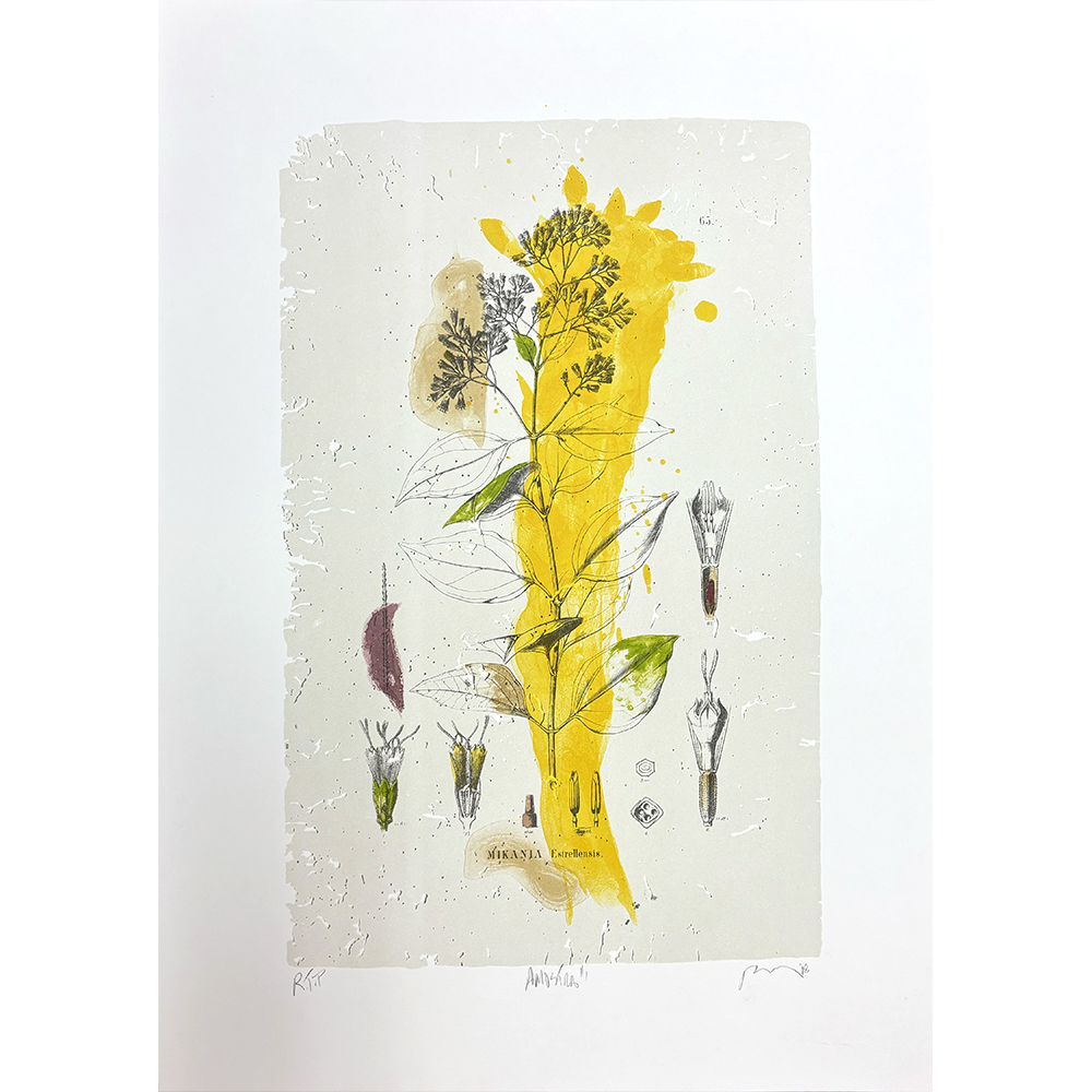 Bob Nugent - Amostra #1