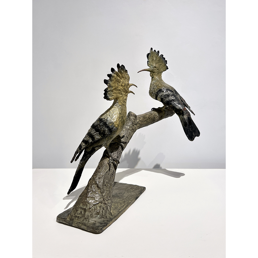 Calyxte Campe - Hoopoe Calyxte Campe - Hoopoe