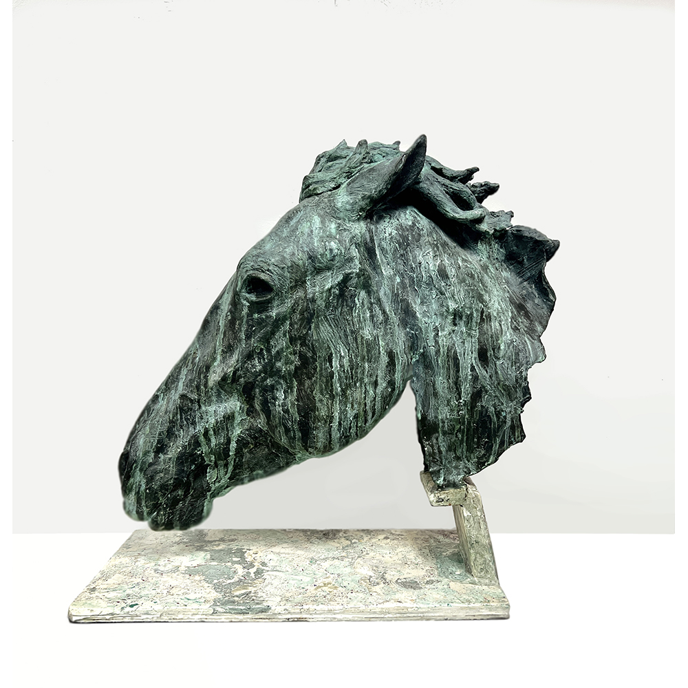 Calyxte Campe - Race Horse