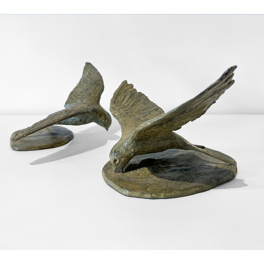 Calyxte Campe - Swallow 2