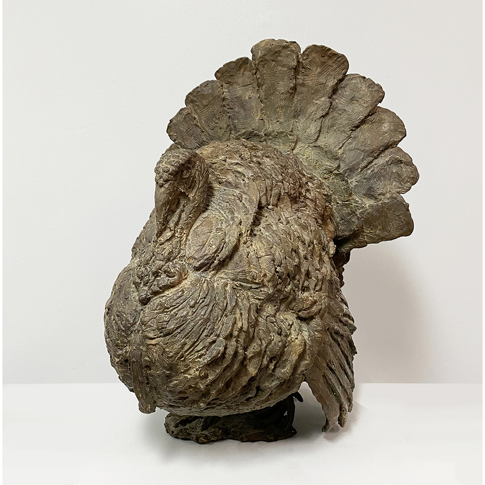 Calyxte Campe - Turkey